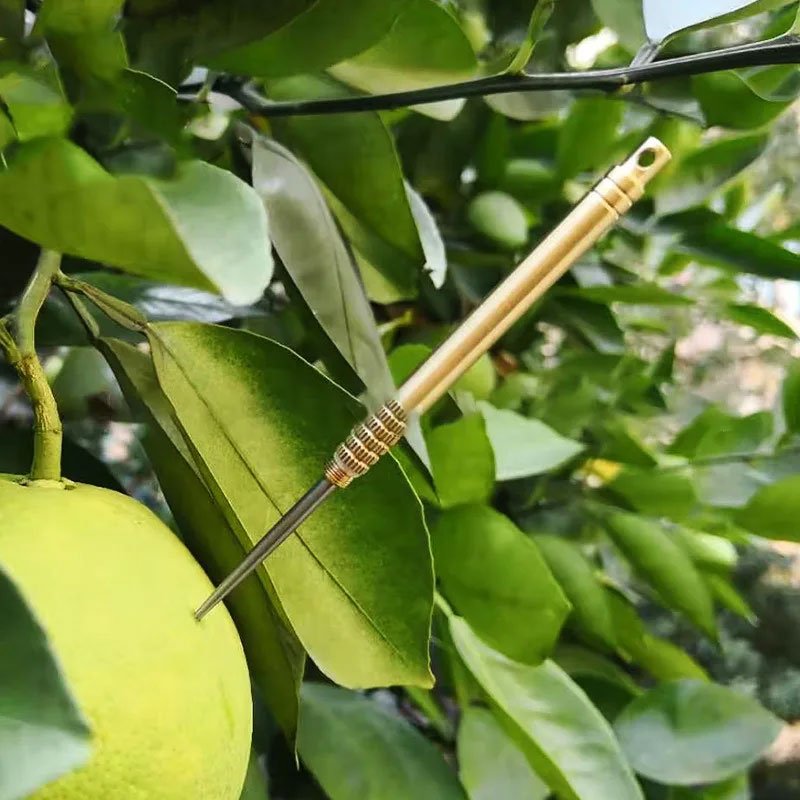 Tusuk Gigi EDC Toothpicks Titanium Tube - LIN58 - Golden 2